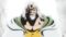 One Piece Season 22 Episode 1088