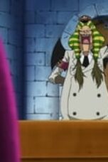 One Piece Season 13 Episode 446
