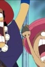 One Piece Season 10 Episode 341