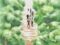 One Piece Season 5 Episode 136