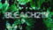 Bleach Season 1 Episode 219