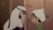 Jaadugar: A Witch in Mongolia Season 1 Episode 1