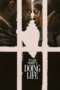 Doing Life (2026)
