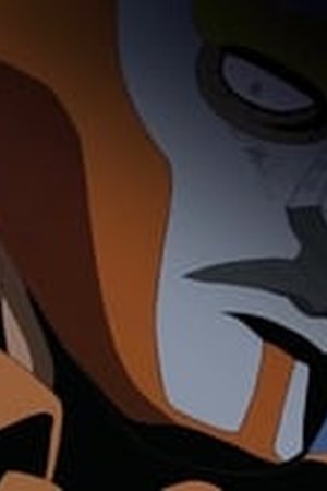 One Piece Season 8 Episode 234