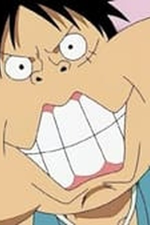 One Piece Season 12 Episode 416