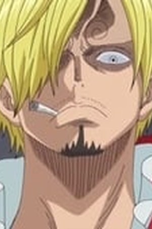 One Piece Season 19 Episode 807