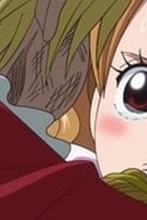 One Piece Season 19 Episode 810