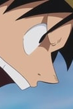 One Piece Season 19 Episode 845