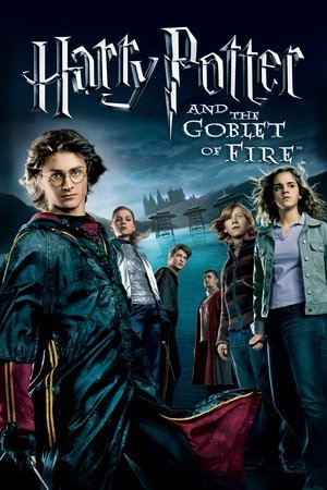 Harry Potter and the Goblet of Fire ( 2005 ) - Poster