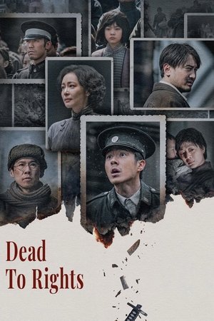 Dead to Rights (2025) - Poster
