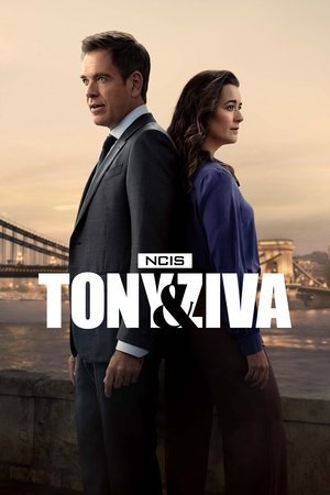 NCIS: Tony & Ziva - Poster