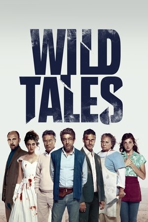 Wild Tales ( 2014 ) - Poster