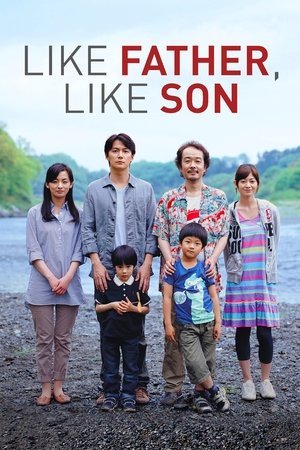 Like Father, Like Son (2013) - Poster
