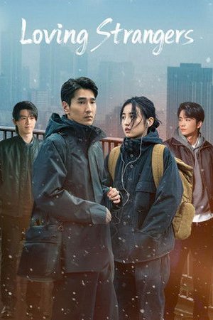 Loving Strangers - Poster