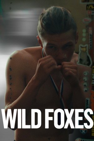 Wild Foxes (2025) - Poster